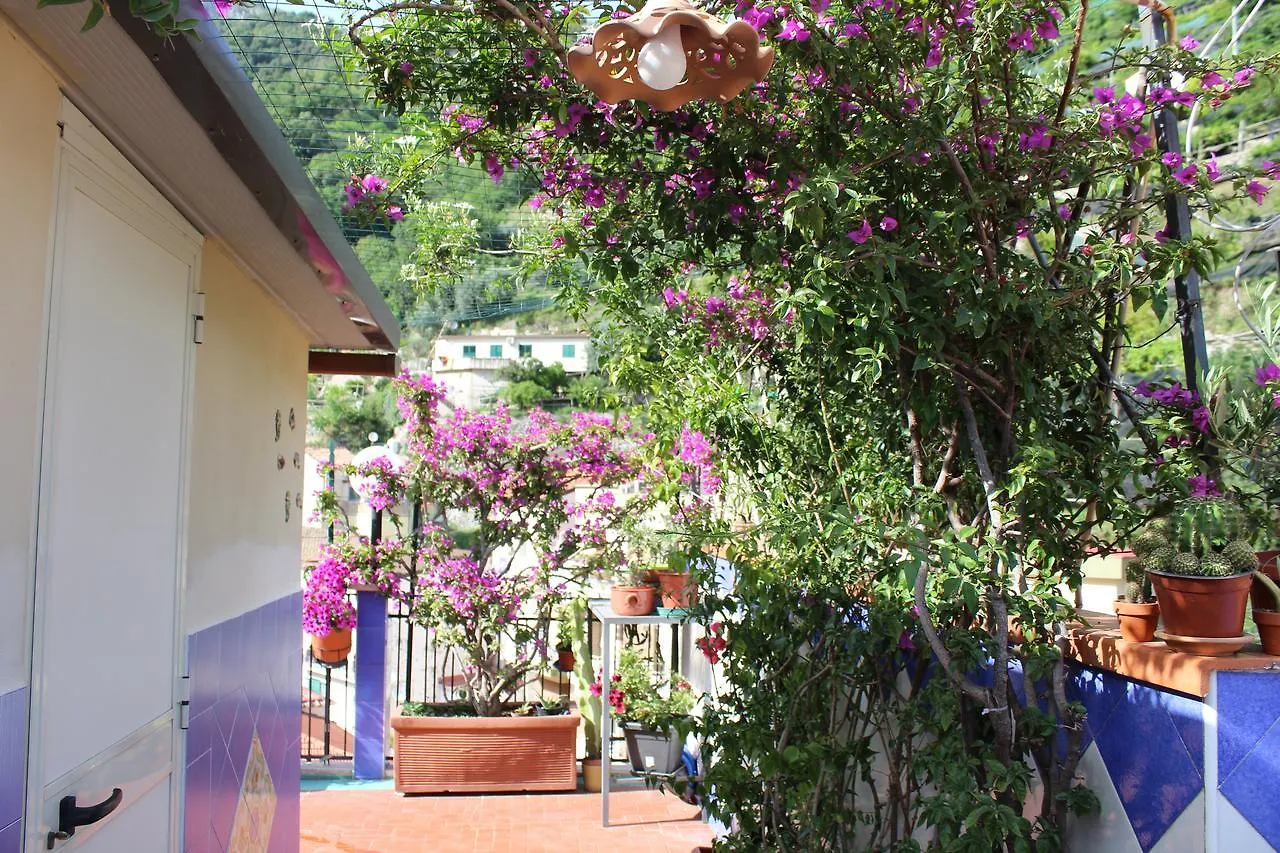 세타라 Reginella B&B
